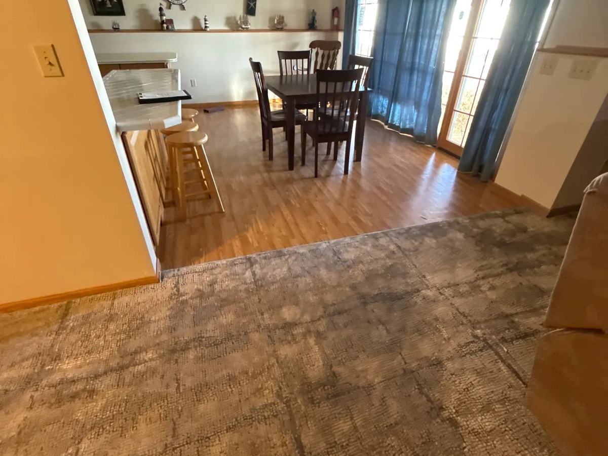Living room carpet soaked and stained by water damage before mitigation